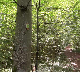 Hochgeträumt Premiumwanderung