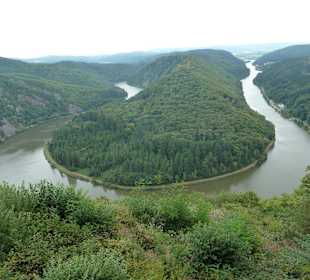 Die Saarschleife