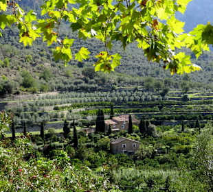 Blick vom Dorf in die Landschaft