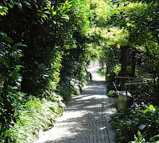 Im Palmengarten von Schloss Trauttmansdorff