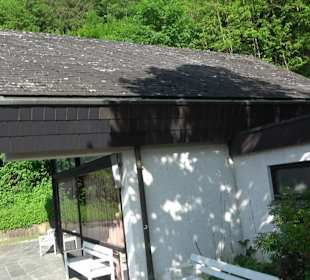 Friedhof Horb am Neckar