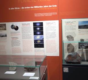 Staatliches Naturkunde Museum