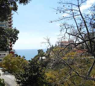 Funchal