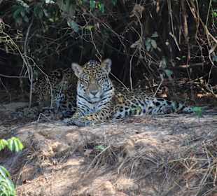 Nationalpark Pantanal