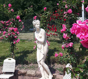 Rosenneuheitengarten