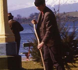 Der Rasenfeger am Llanquihue-See