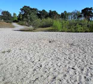 Impressionen aus den Voßbergen