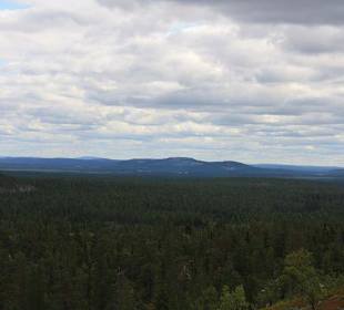 Ausblick