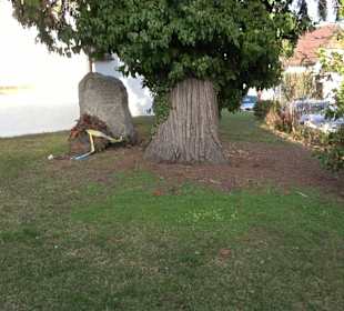 Evangelische Ulrichkirche Altenriet