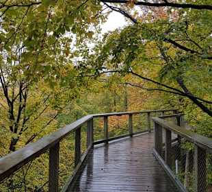 Naturerbe Zentrum Rügen 