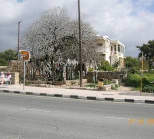 Wunschbaum vor der Grotte der Heiligen Salomoni
