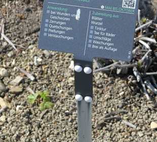 Erläuterungen der Kräuter