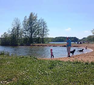 Jetzt kommen immer mehr