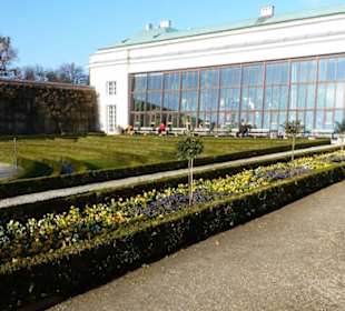 Mirabellgarten