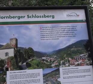Schloss Hornberg