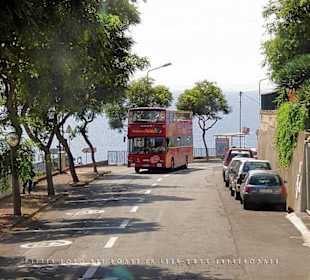#1361 Yellow Bus hellblau Madeira-Camara de Lobos.