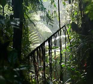 Geführte Touren Karibu Safaris Uganda