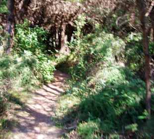 Gehen alle Richtung Strand