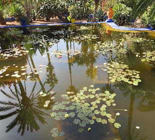 Eindrücke aus dem Jardin Majorelle Garten