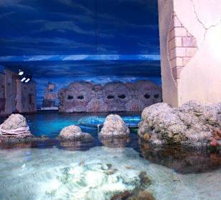 Sea Life Aquarium Gardaland