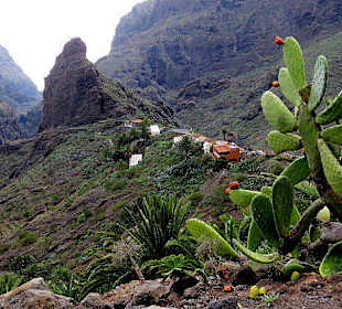 Blick auf den Ort Masca