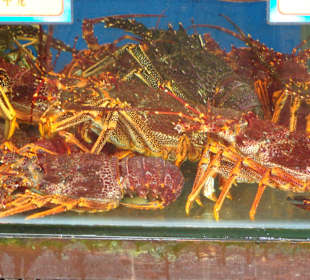 Auslegeware in den Restaurants am Fluß