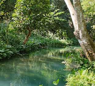Kuang Si Butterfly Park