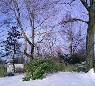 Winterliche Stimmung