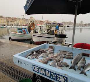 Fischmarkt frisch vom Kutter