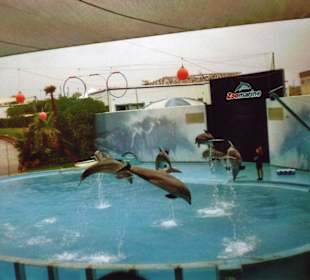  Zoo Marine