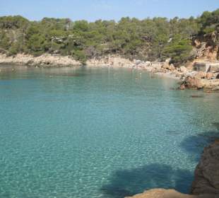 Weg zur Cala Saladetta