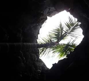 Fundacion Cesar Manrique 