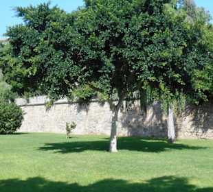 Parc de la Mar