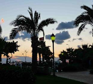 Sonnenuntergang im Park beim Riviera