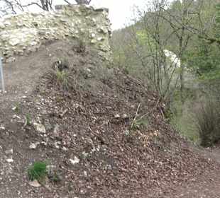 Wanderung rund um das Rusenschloss Gerhausen