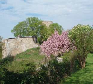 Die Burg Blankenberg