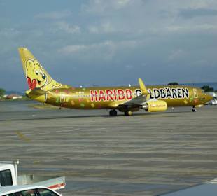 Unser Flugzeug für den Rückflug