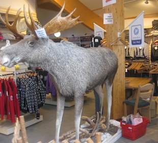 Polarkreiszentrum 66' 33’ N