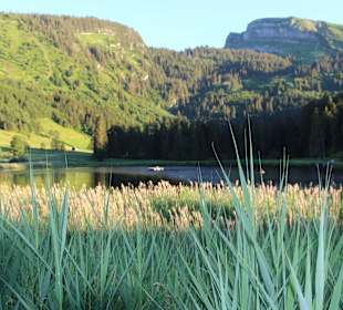 Walensee