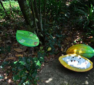 Singapur Zoo