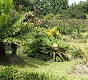 Park Terra Nostra