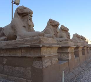 Tagesausflug nach Luxor ab Makadi Bay