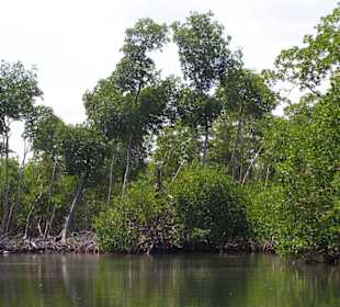 Nationalpark Los Haitises
