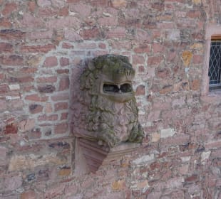 Bergbahn - Aus- und Einblicke vom Schloss