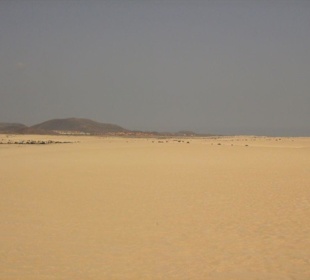 Dune di corralejo