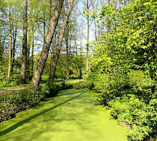 Spaziergang durch den Wolfskuhlenpark