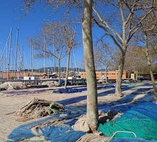 Hafen von Palma de Mallorca im März 17