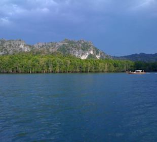 Mein schönstes Bild