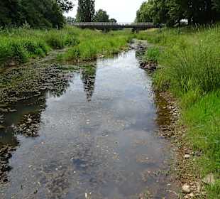 Donauzusammenfluss Donaueschingen