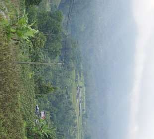 Reisterrassen auf Bali